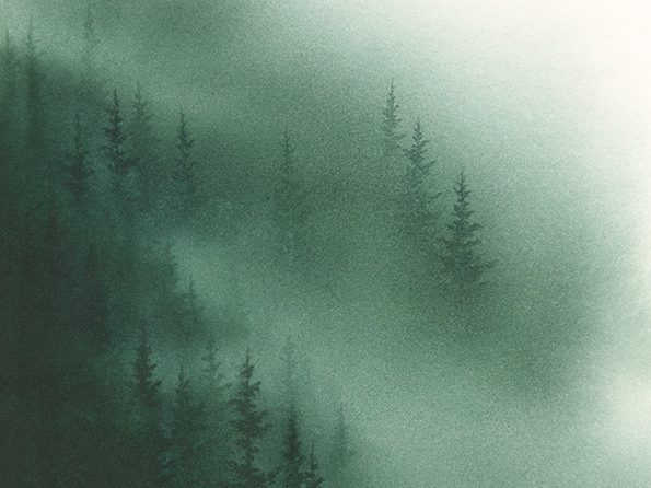 Nebelstimmung Aquarell von Sonja H. Bächle
